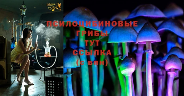 первитин Ельня