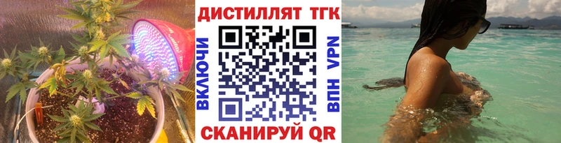 ТГК концентрат  Купить  Короча 